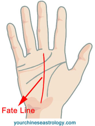 Palm Reading - Fate Line
